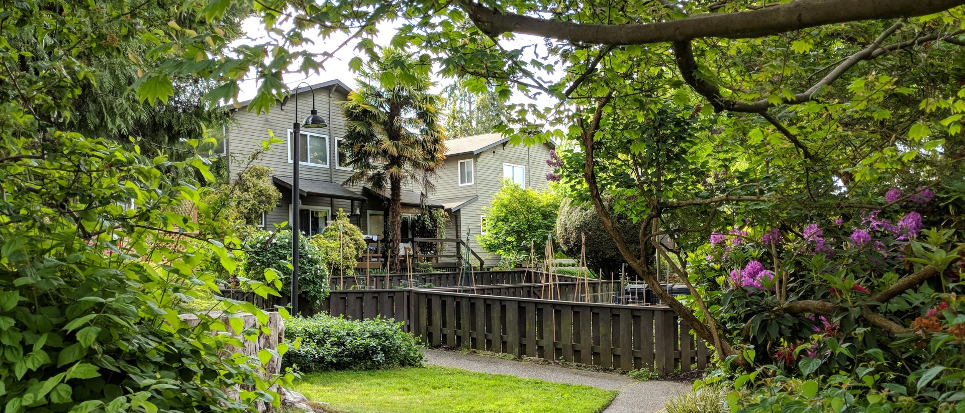 Peaceful garden courtyard with mature trees and natural wood buildings